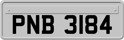 PNB3184