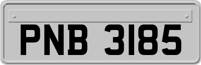 PNB3185