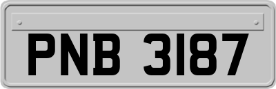 PNB3187