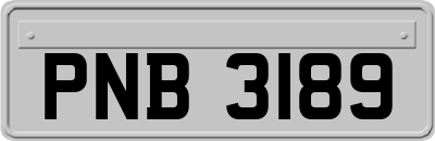 PNB3189