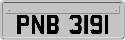 PNB3191