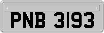 PNB3193