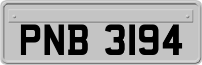 PNB3194