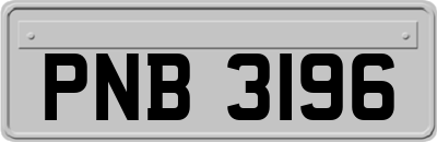 PNB3196