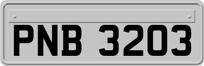 PNB3203