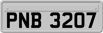PNB3207