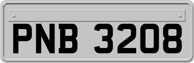 PNB3208