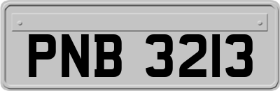 PNB3213