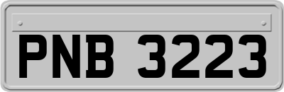 PNB3223