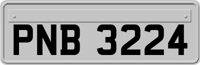 PNB3224