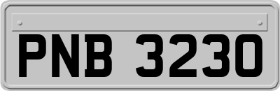 PNB3230