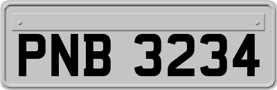 PNB3234