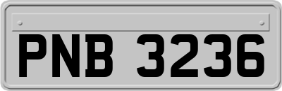 PNB3236