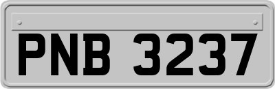 PNB3237