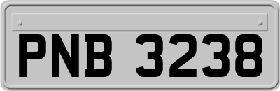 PNB3238