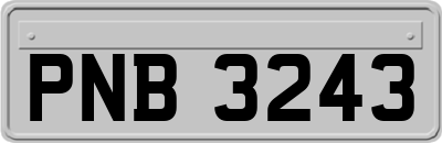PNB3243
