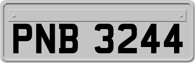 PNB3244