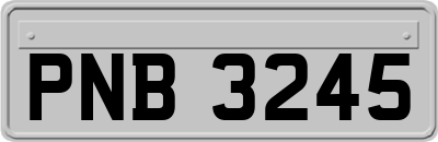 PNB3245