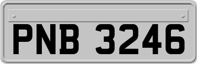 PNB3246