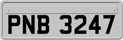 PNB3247