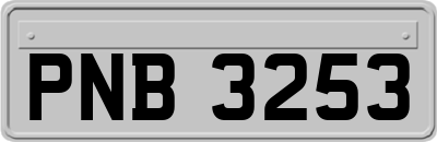 PNB3253