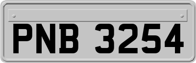 PNB3254