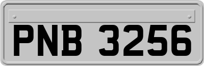 PNB3256