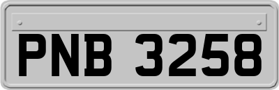 PNB3258