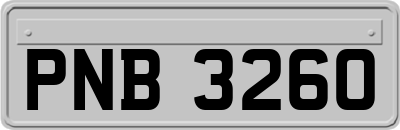 PNB3260