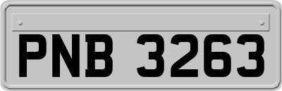PNB3263