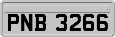 PNB3266