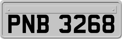 PNB3268