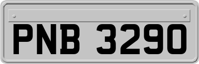 PNB3290