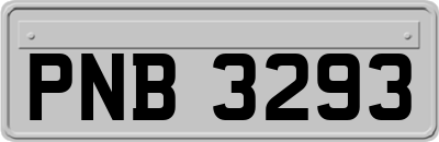 PNB3293