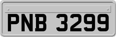 PNB3299