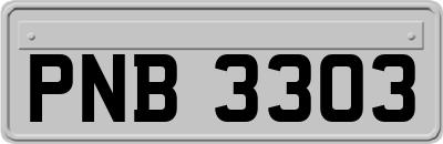 PNB3303