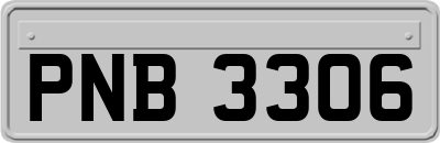 PNB3306