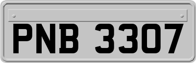 PNB3307