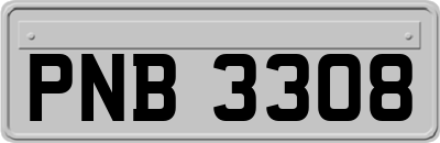 PNB3308