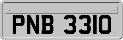 PNB3310