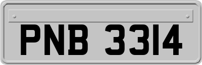PNB3314