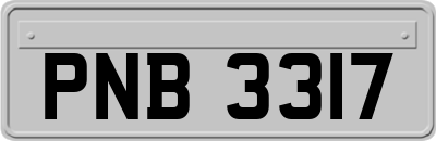 PNB3317
