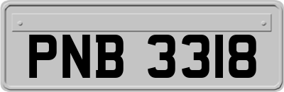 PNB3318