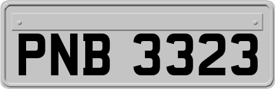 PNB3323