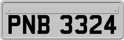 PNB3324