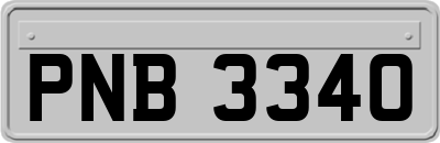 PNB3340