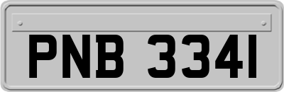 PNB3341