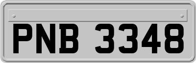 PNB3348