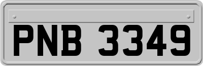 PNB3349