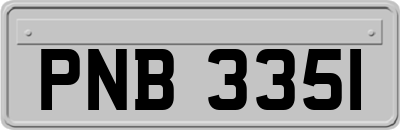 PNB3351